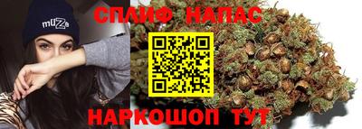 гашик Нягань