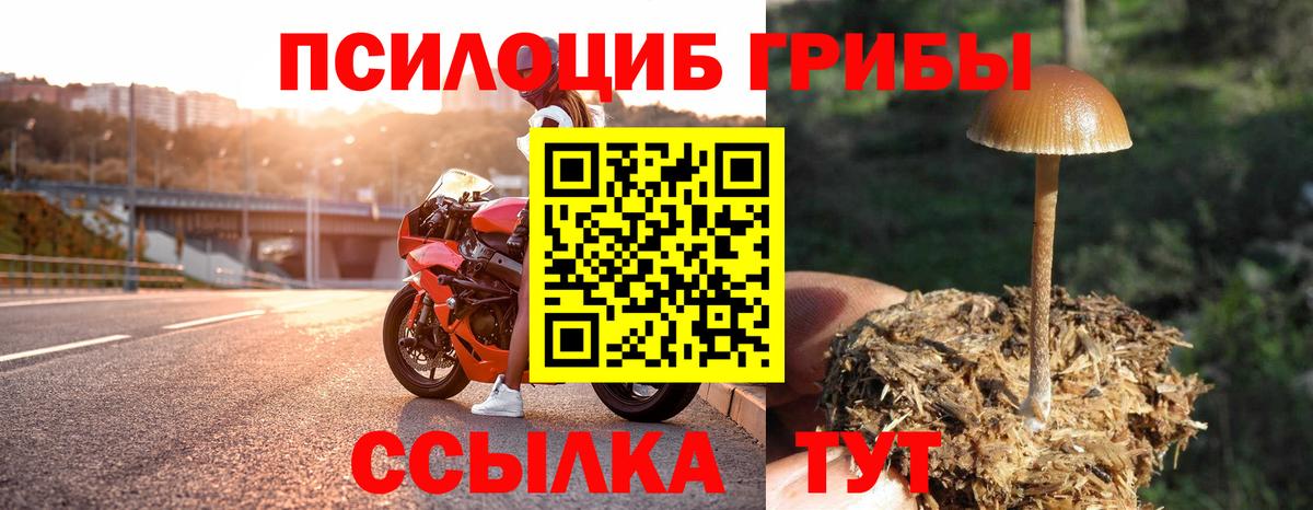 Сухой Лог  Галлюциногенные грибы Cubensis  Псилоцибиновые грибы мухоморы  Вход с VPN 