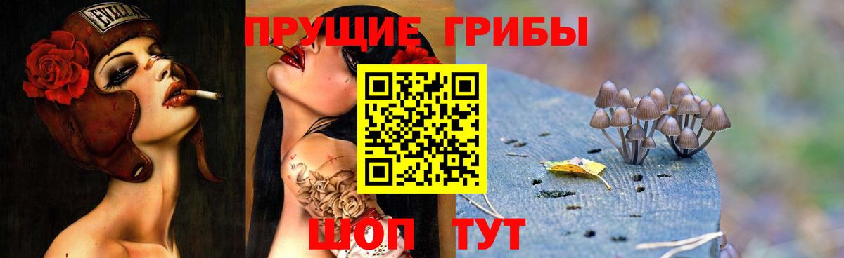 Псилоцибиновые грибы Magic Shrooms Сухой Лог